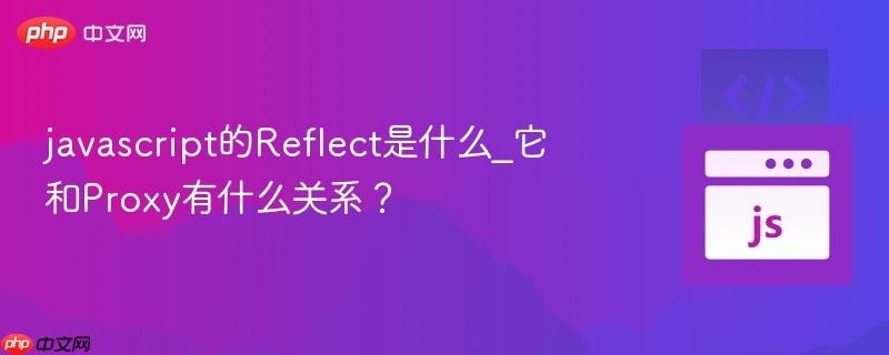 javascript的reflect是什么_它和proxy有什么关系?
