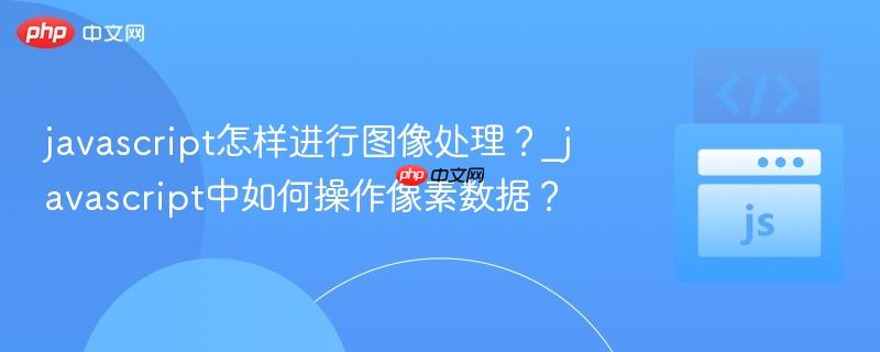 javascript怎样进行图像处理?_javascript中如何操作像素数据?