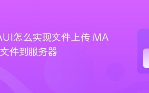 C# MAUI怎么实现文件上传 MAUI上传文件到服务器