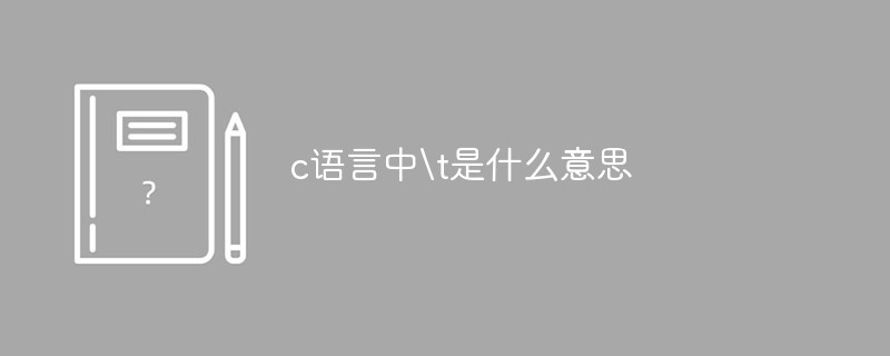 c语言中t是什么意思