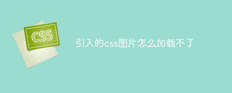 引入的css图片怎么加载不了