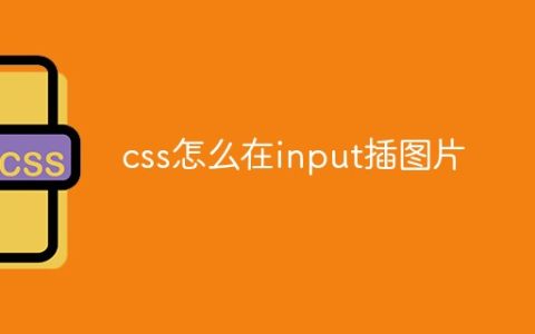 css怎么在input中插图片