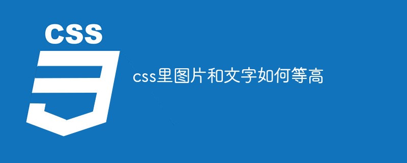 css里图片和文字如何等高