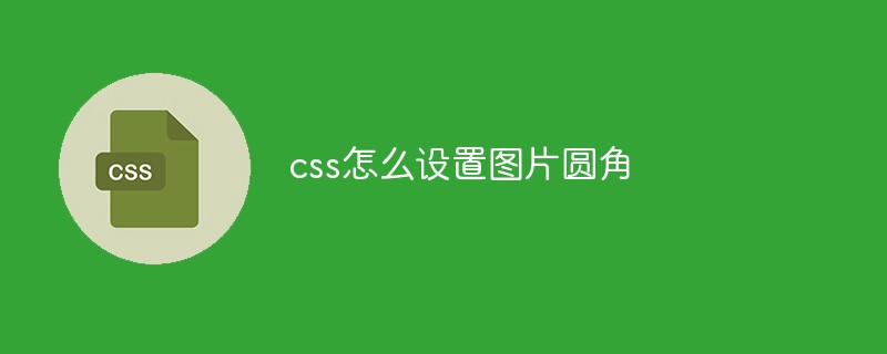 css怎么设置图片圆角