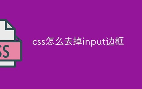 css怎么去掉input边框