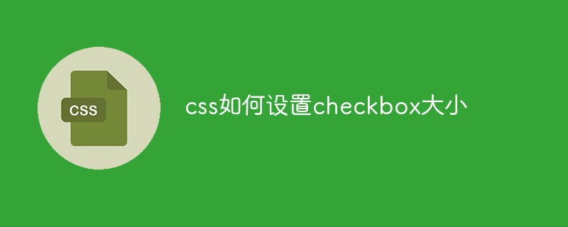 css如何设置checkbox大小