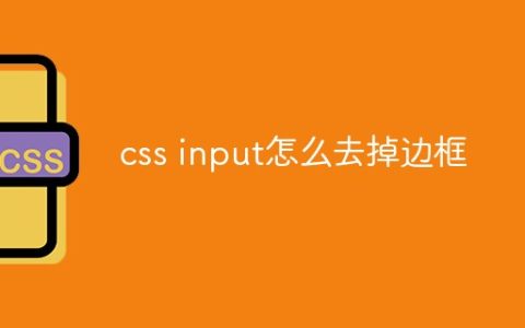 css input怎么去掉边框