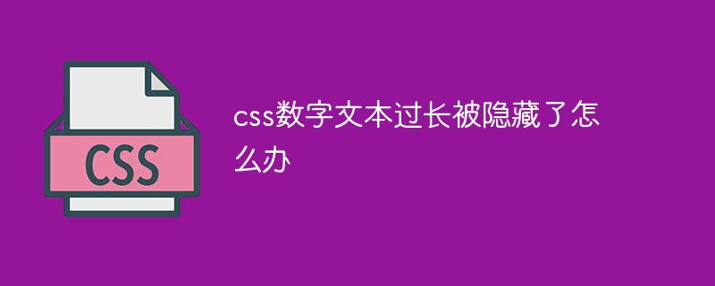 css数字文本过长被隐藏了怎么办