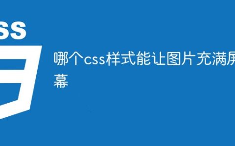 哪个css样式能让图片充满屏幕