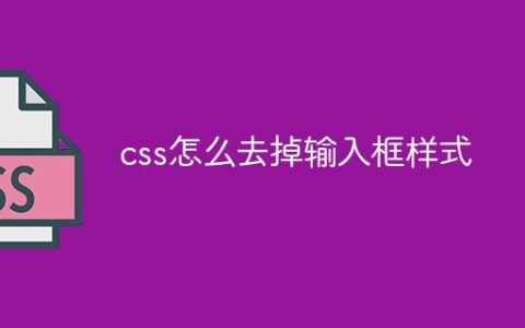 css怎么去掉输入框样式