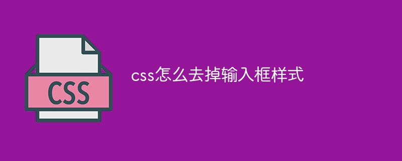 css怎么去掉输入框样式