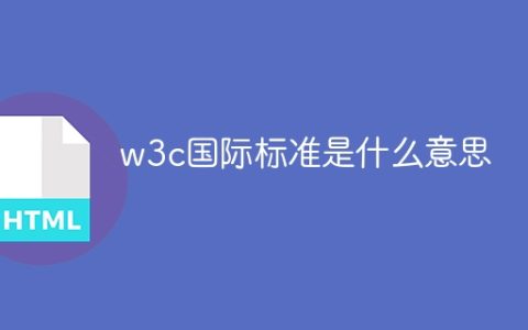 w3c国际标准是什么意思
