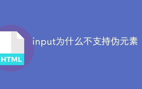 input为什么不支持伪元素