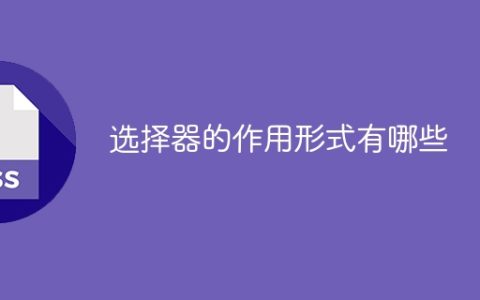选择器的作用形式有哪些