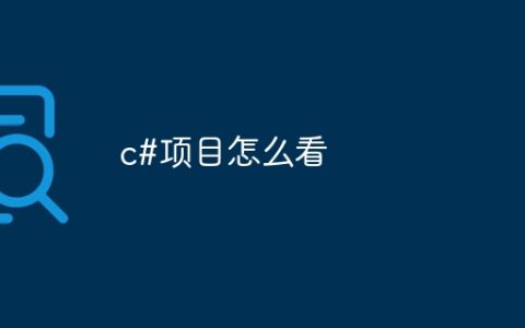 c#项目怎么看