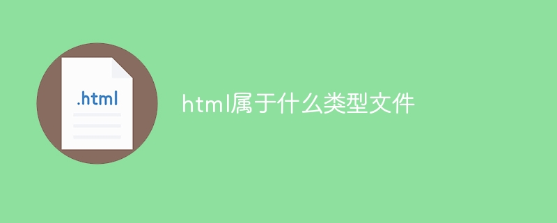 html属于什么类型文件