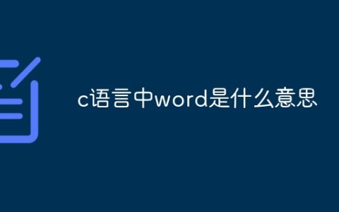 c语言中word是什么意思