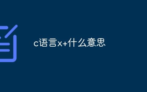 c语言x+什么意思