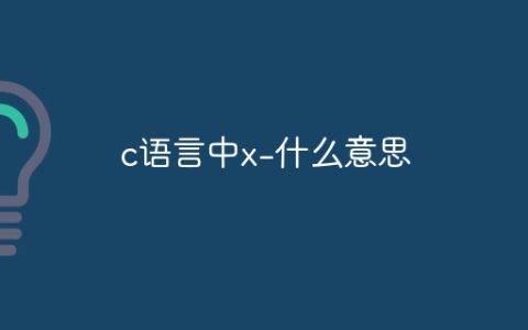 c语言中x-什么意思