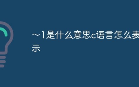 ～1是什么意思c语言怎么表示