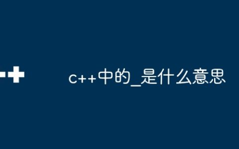 c++中的_是什么意思