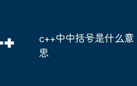 c++中中括号是什么意思
