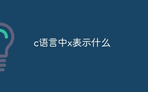 c语言中x表示什么