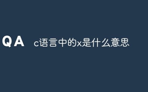 c语言中的x是什么意思