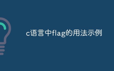 c语言中flag的用法示例