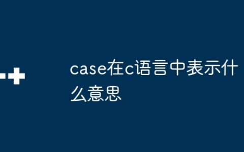 case在c语言中表示什么意思