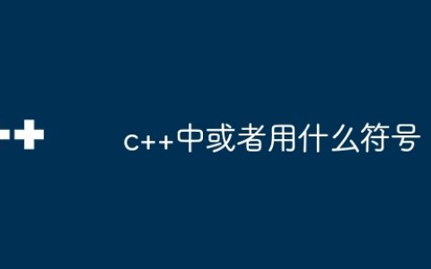 c++中或者用什么符号