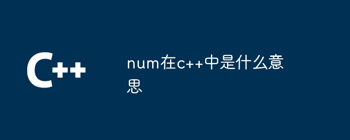 num在c++中是什么意思