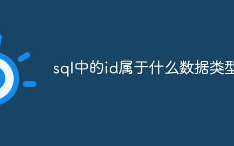sql中的id属于什么数据类型