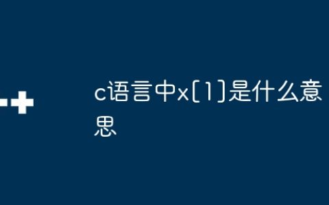 c语言中x[1]是什么意思