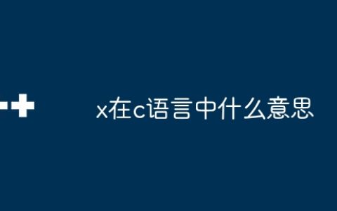 x在c语言中什么意思