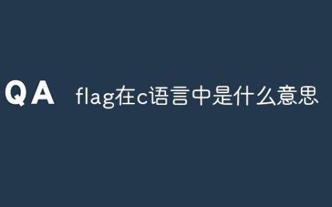 flag在c语言中是什么意思