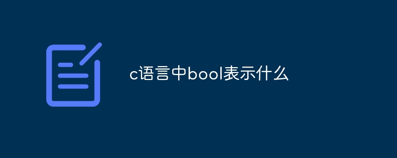 c语言中bool表示什么