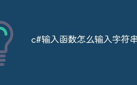 c#输入函数怎么输入字符串