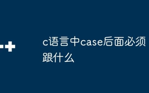 c语言中case后面必须跟什么