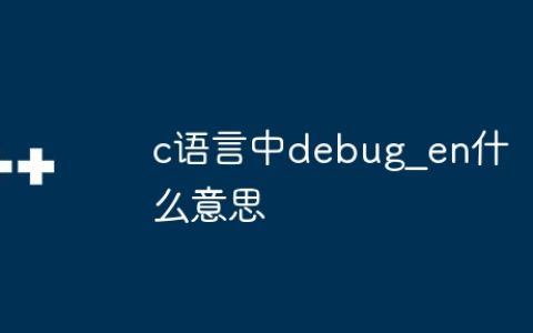 c语言中debug_en什么意思