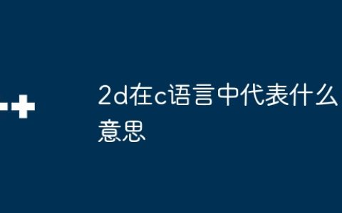 2d在c语言中代表什么意思