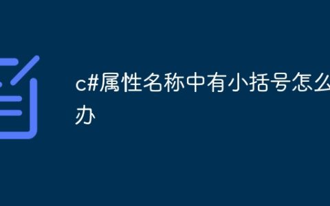 c#属性名称中有小括号怎么办