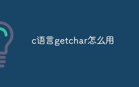 c语言getchar怎么用