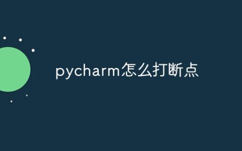 pycharm怎么打断点