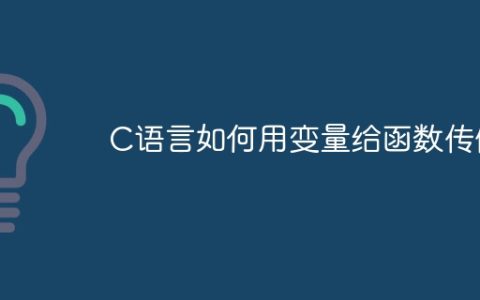 C语言如何用变量给函数传值