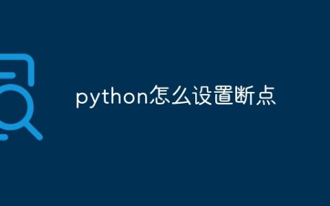 python怎么设置断点