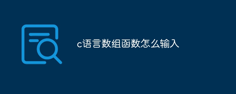 c语言数组函数怎么输入