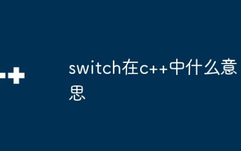 switch在c++中什么意思