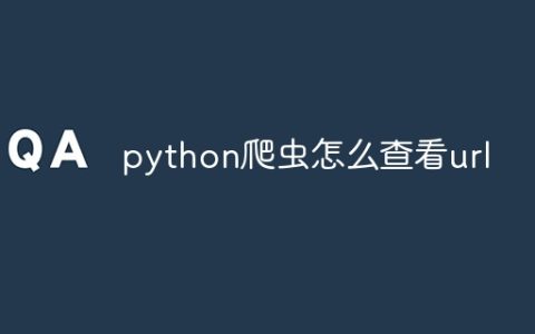 python爬虫怎么查看url