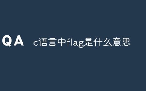 c语言中flag是什么意思